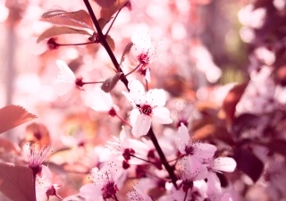 Frühlingsshooting mit Kerstin und Victoria