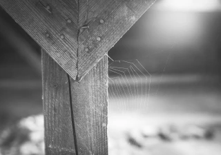 Intense Black and White with Melanie