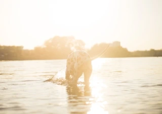 Chill Out with Mina und Roman