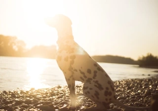 Chill Out with Mina und Roman