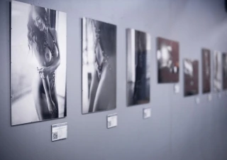 Erotic Exhibition Lumina