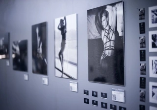 Erotic Exhibition Lumina