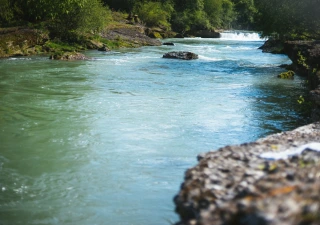 Pure Nature April 2017