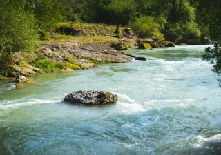 Pure Nature April 2017