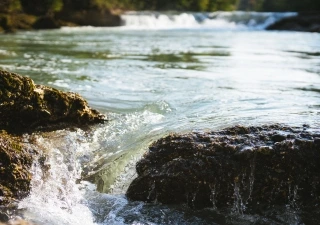 Pure Nature April 2017