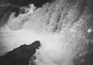 Victoria Summer Shooting