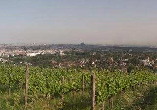 Hot Summer Days with Jannica