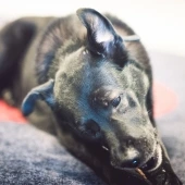 Forumstreffen goes Runway-Studios