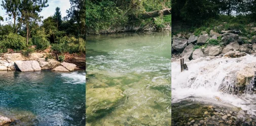 /photographer/michael-sedlacek-2/others/scoutings/2014/nature-july