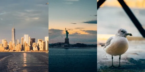 /photographer/michael-sedlacek-2/citytrips/united-states-of-america/after-the-storm-in-new-york-city-2016