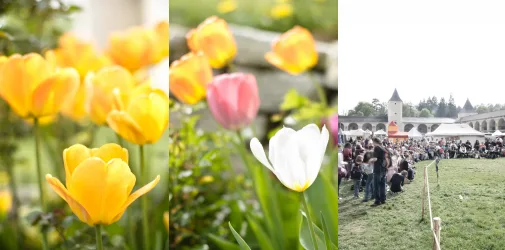 /photographer/michael-sedlacek-2/events/2013/renaissanceschloss-rosenburg-ritterfest