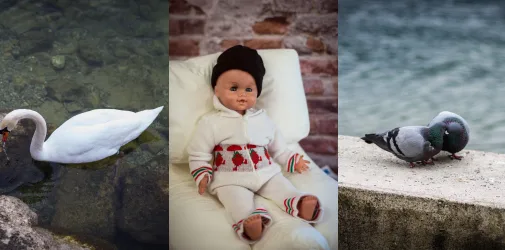 /photographer/michael-hofrichter-46/events/2015/gmundner-fototage