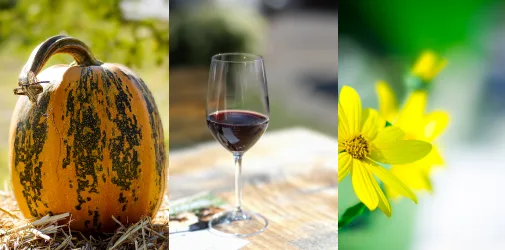 /photographer/michael-sedlacek-2/events/2013/genussmeile-in-der-thermenregion-wienerwald